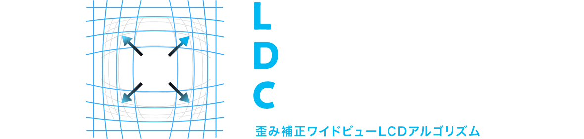 LENS DISTORTION CORRECTION